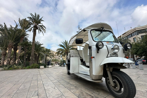Valencia: Besuche das historische Zentrum von Valencia mit dem Tuk Tuk