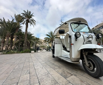Valencia: Bezoek het historische centrum van Valencia in een Tuk Tuk