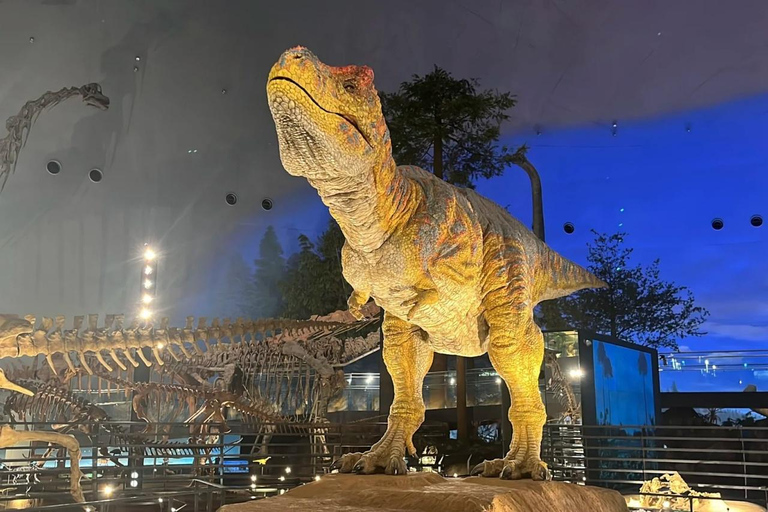 4-Day Cultural Tour from Tokyo to Kanazawa & Fukui 4-Day from Tokyo to Kanazawa & Fukui（No tour guide）