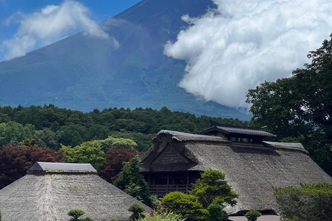 Depuis Tokyo : Excursion privée d&#039;une journée au Mont Fuji et à Hakone