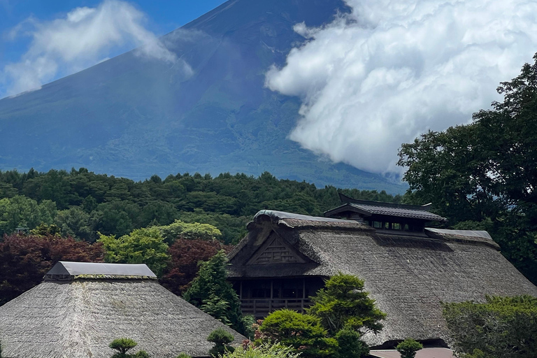 Z Tokio: Prywatna 1-dniowa wycieczka na górę Fuji i do Hakone