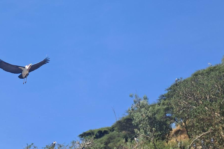 Addis Ababa: 6-Day Abijata Shalla NP & Bale Mountains Tour