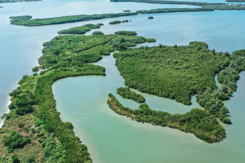 Fort Pierce: Clear Kayak Tour with Wildlife Sightings