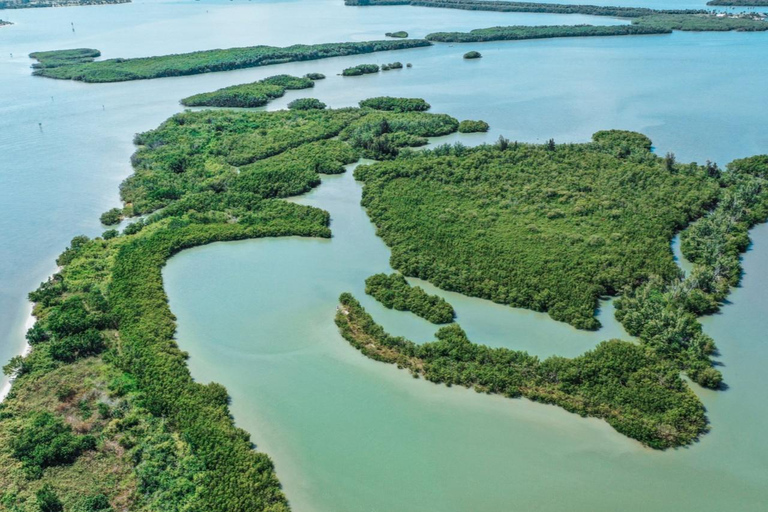 Fort Pierce: Clear Kayak Tour with Wildlife Sightings