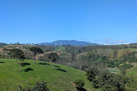 Kandy: Nuwara Eliya and Ambewela Train Station Tour