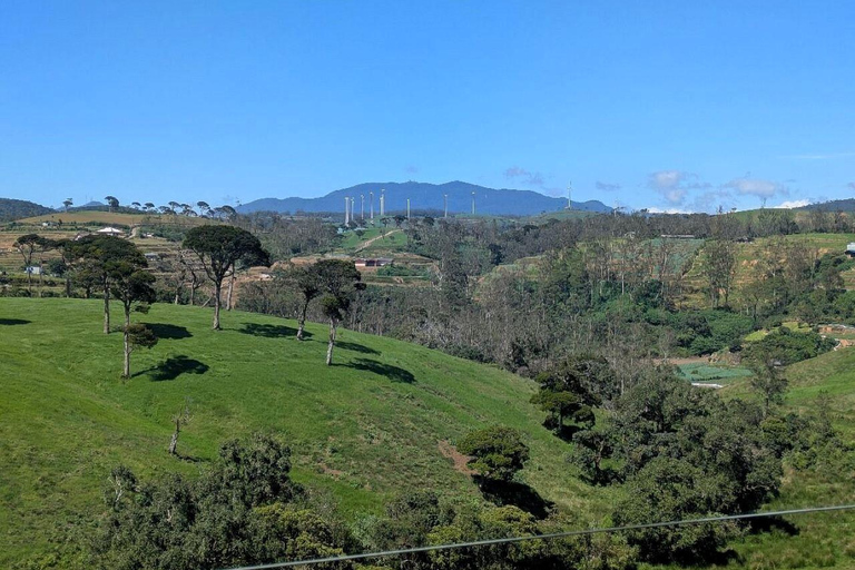 Kandy: Nuwara Eliya and Ambewela Train Station Tour