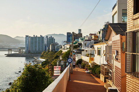 Excursão a Busan: Carro de táxi público Fretamento particularPasseio de táxi em Busan 8 horas