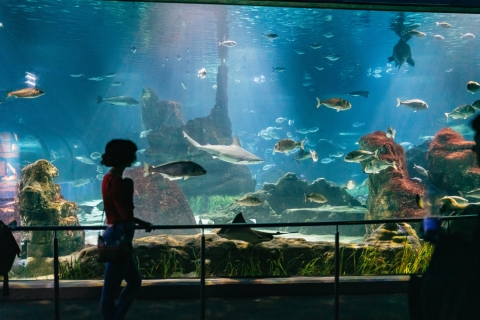 Barcelona: hop on, hop off-bustocht met AquariumBarcelona: 2 dagen hop on, hop off-bus met ticket Aquarium