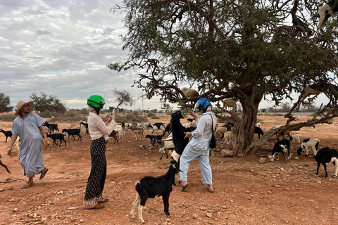 Agadir: Quad Bike Tour Safari with a Crocopark Ticket