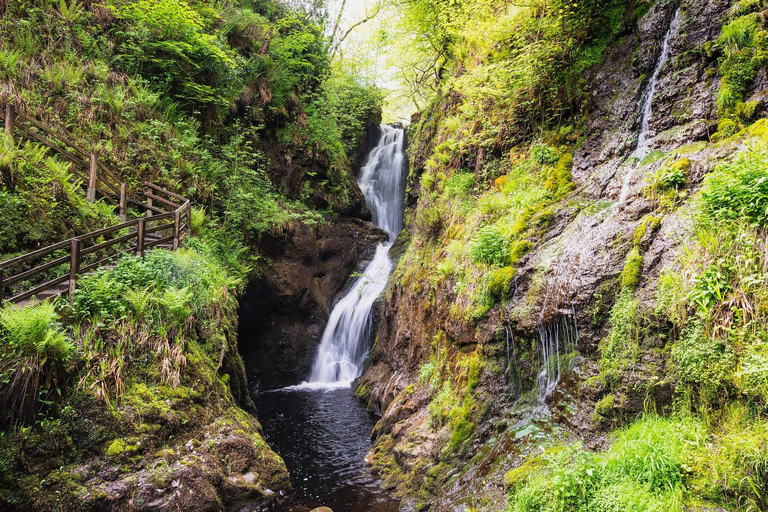 Visite privée - Jardin fortifié irlandais, nature et Chaussée des Géants