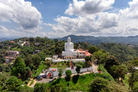 Colombo/Negombo: Day Trip to Pidurangala with Village Tour Pidurangala Day tour (Transport Only)