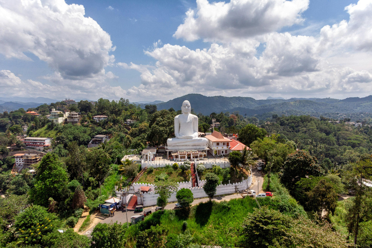 Colombo/Negombo: Day Trip to Pidurangala with Village Tour Pidurangala Day tour (Transport Only)