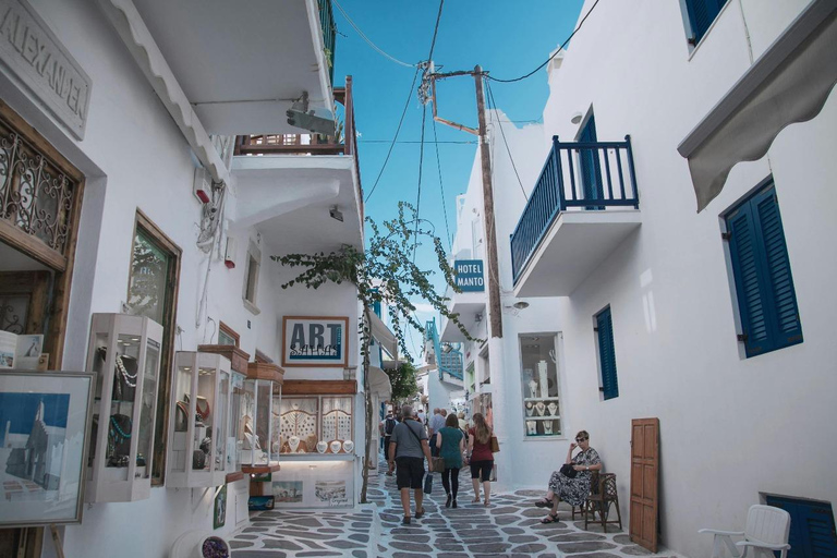 Highlights of Mykonos: Guided 4-Hour Island Adventure