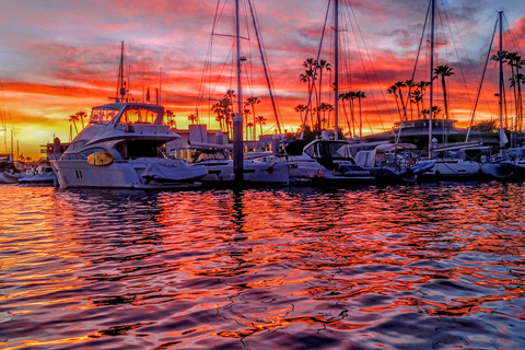 Marina Del Rey: Crociera in barca con vino e salumi o cenaOpzione cena