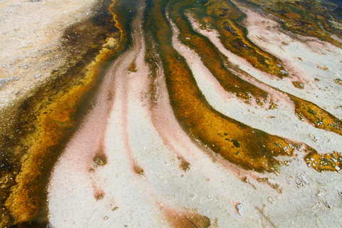 Von Auckland aus: Waitomo-Höhle und Orakei Korako Gruppentagestour