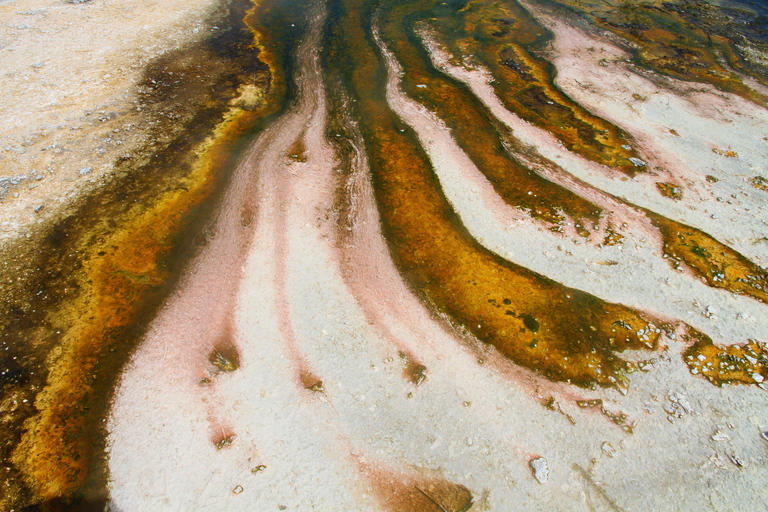 Vanuit Auckland: Waitomo Grot en Orakei Korako Groepstour