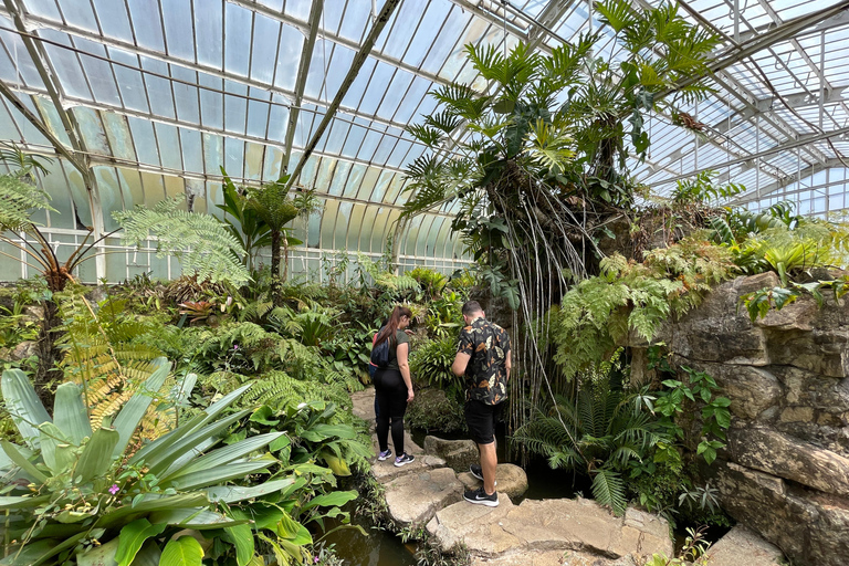 圣保罗：植物园与生物学家导览游（周末）生物学家带你游览圣保罗植物园