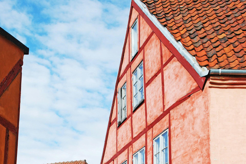 Copenhagen: Royal Castles and Helsingør City Tour