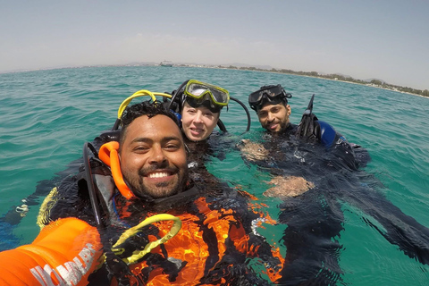 Hammamet: Guided Diving Experience with Hotel Transfer
