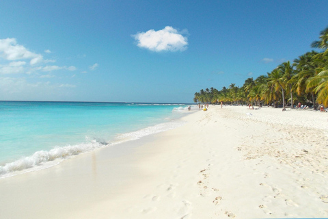 From Punta Cana: Saona Island Tour by Catamaran with Open Bar and Buffet Option with transportation from Punta Cana