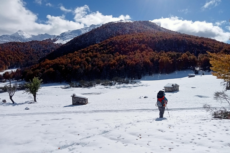 Cangas de Onís: Route in het bos van Vegabaño met lunch in een berghut