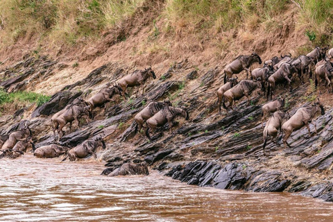 From Nairobi Safari: 4-Day Maasai Mara and Lake Nakuru