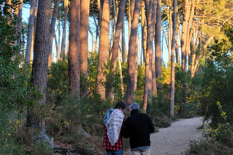 Joyas Ocultas de la Bahía de Arcachon: Excursión Privada a la Península de Cap Ferret