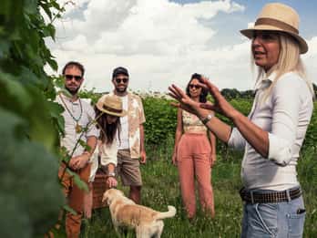 Gardasjøen: Vingårdstur og vinsmaking