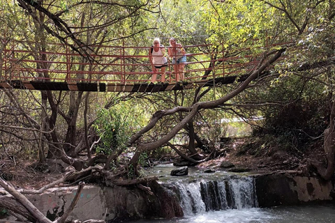 ANDALUCIA : EL PUENTE COLGANTE MÁS LARGO