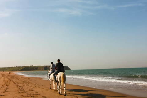 Paphos: Sea Caves Intermediate Horseback Ride Paphos: Sunset Sea Caves Intermediate Horseback Ride