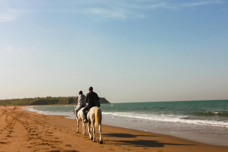 Paphos: Sea Caves Intermediate Horseback Ride