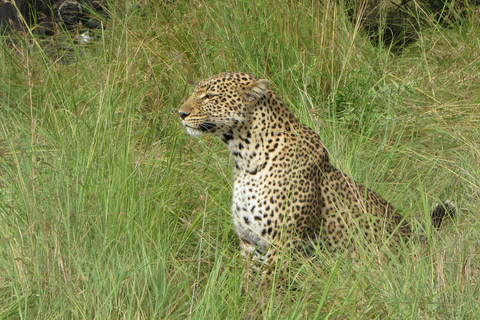 From Nairobi: 5-Day Samburu and Meru National Parks Safari