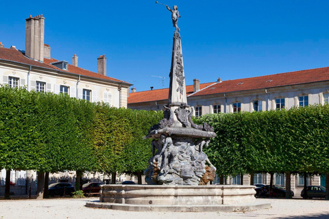 Nancy: Guided Walking Tour 60 min - Private Tour