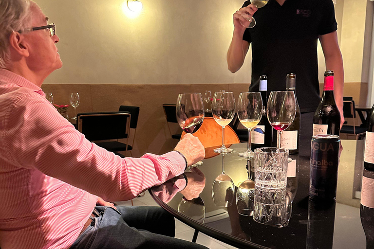 São Paulo: Wine tasting with an expert