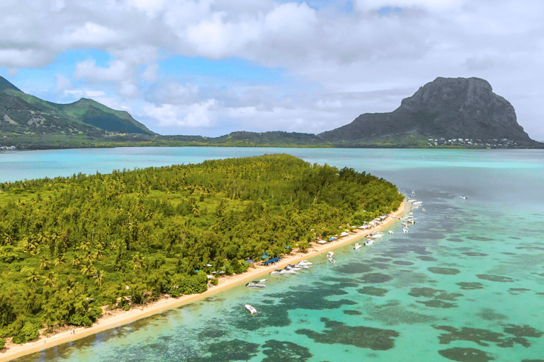 Nage avec les dauphins, île des Bénitiers, déjeuner, prise en charge et retourNage avec les dauphins, rocher de cristal, île des Bénitiers et déjeuner