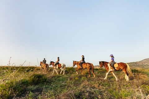 Heraklion: Finikia Horse Riding Tour with Lunch or Dinner