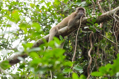 Khao Lak's Little Amazon: Canoe, Trek & Waterfall Day Trip