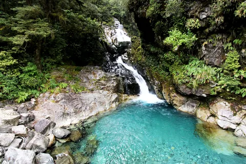 New Zealand: 9-Day Private Tour with 14-16 Activities