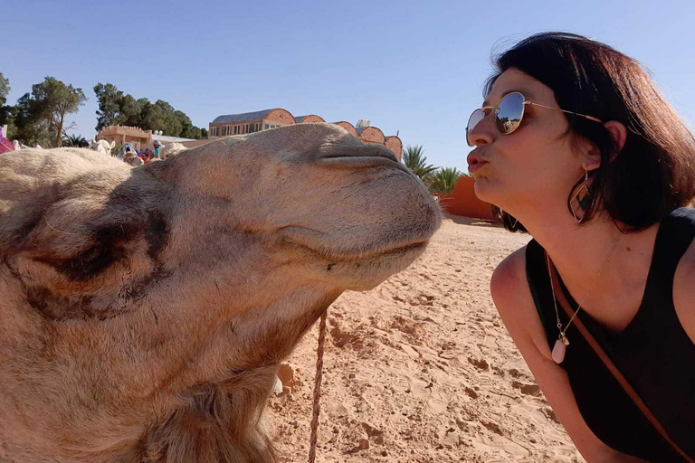 Ksar Ghilane, Tunisia: Sahara Desert 4x4 Tour & Oasis