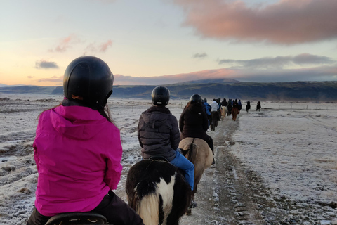 Hveragerdi: La ruta a caballo de SiggiHveragerdi: El Recorrido Siggi 1,5-2 Horas de Recorrido