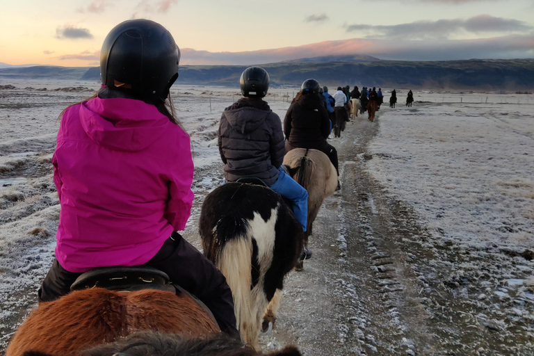 Hveragerdi: La ruta a caballo de SiggiHveragerdi: El Recorrido Siggi 1,5-2 Horas de Recorrido