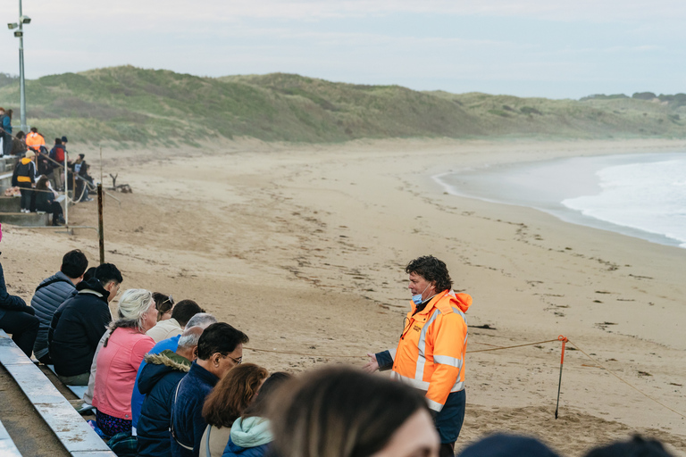 Von Melbourne aus: Phillip Island Eco Wildlife TourAb Melbourne: Öko-Wildlife-Tour auf Phillip Island