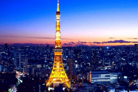 Tokyo One Day Private Tour mit englischsprachigem Fahrer