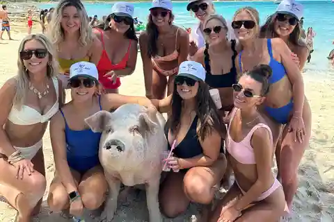 L'île Rose : Location d'un yacht privé