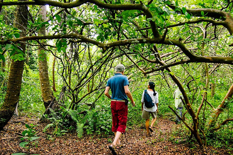 桑给巴尔：乔扎尼森林与香料农场之旅，含茶饮及接送服务桑给巴尔：乔扎尼森林与香料农场游，含茶饮及接送服务