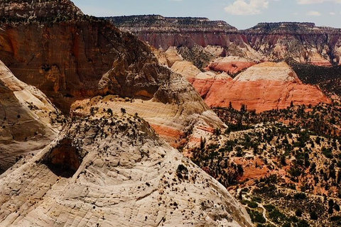 Orderville: East Zion Slot Canyons Award-Winning UTV Tour