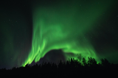 From Tromsø: Aurora Snowshoe Hike