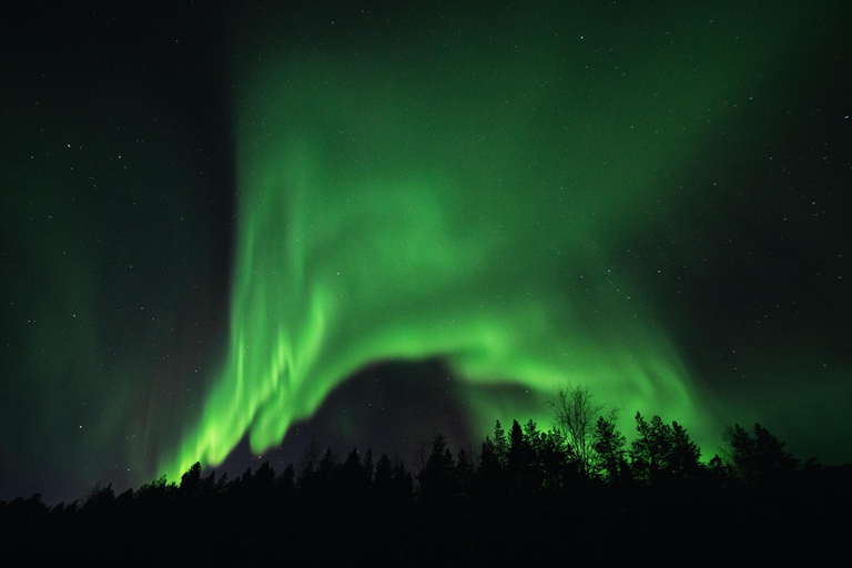 From Tromsø: Aurora Snowshoe Hike