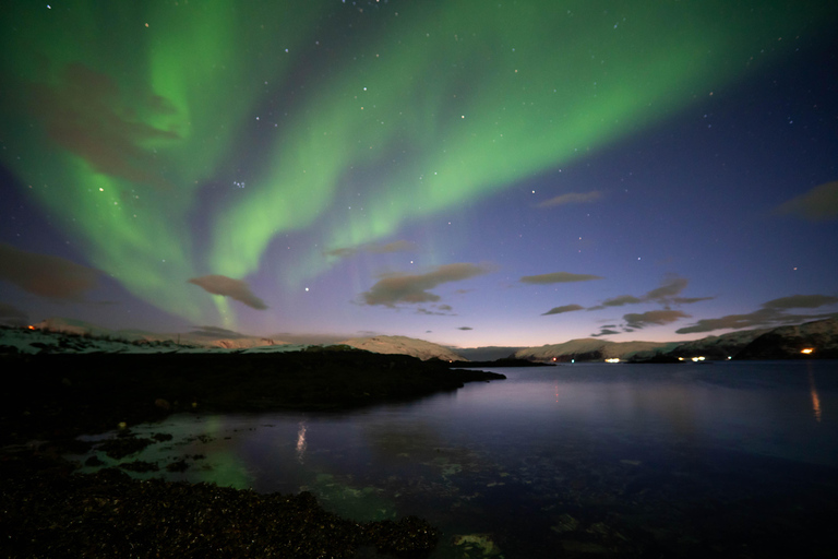 Tromsø: Northern Lights Tour with Local guide & Local Food