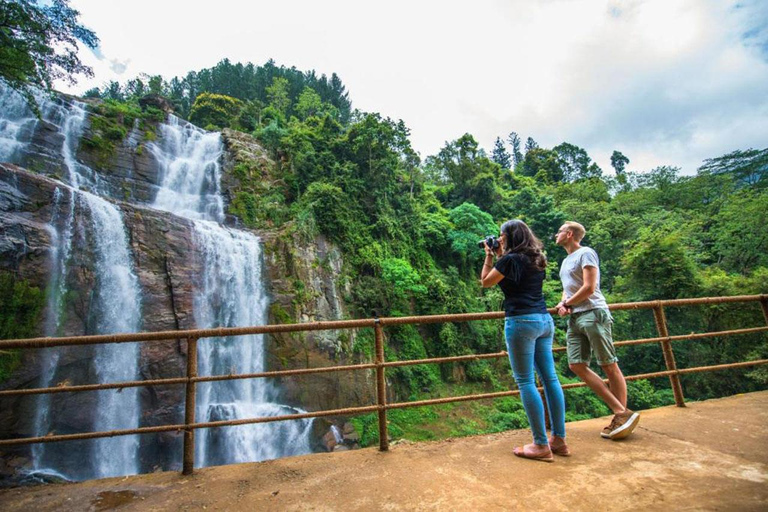 Kandy till Nuwaraeliya dagstur med Tuk Tuk